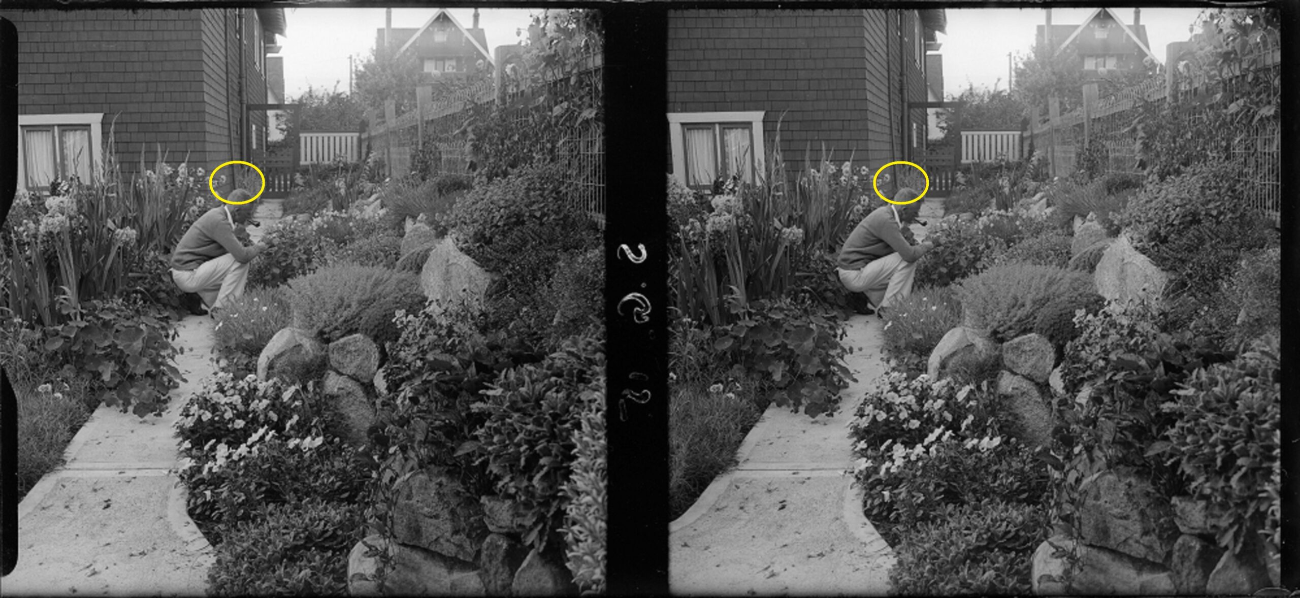 James Crookall in his garden, 1930s. A careful inspection of where the downspout appears behind his head (circled in yellow) shows that these are a stereographic pair. However, the stereographic pair when printed, would need to be switched for the correct viewing in a stereo viewer. Reference code: AM640-S1-: CVA 260-1879