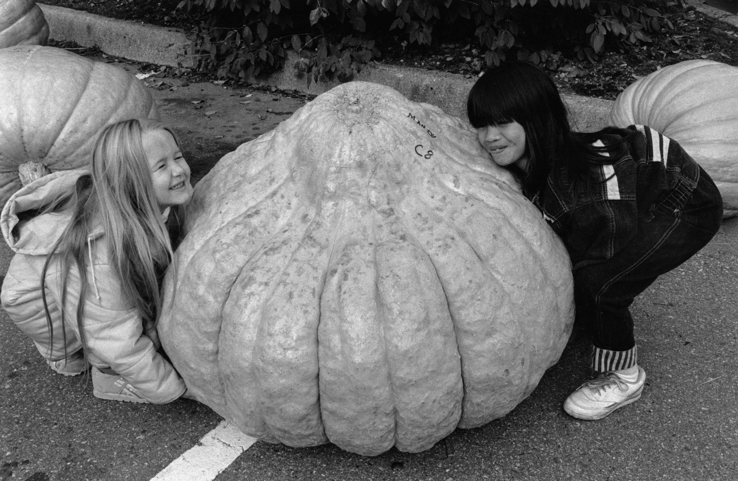 Mandy Byle and Susan Phoummasak attempt a heavy lift at VanDusen Botanical Garden, 1990. Reference code: AM1528-S1-F077-: 2008-127.01933