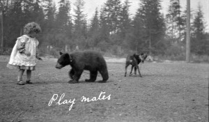 little girl with dog and bear on leash