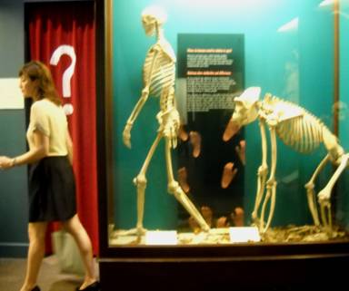 The Missing Link