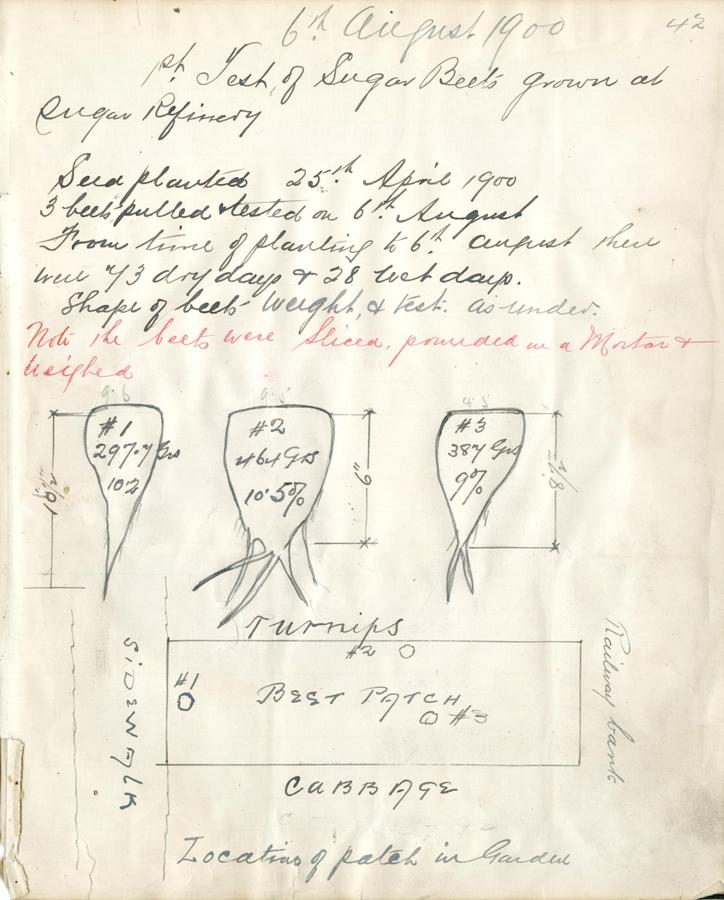 Analysis of sugar beets grown at BC Sugar. This is a page from a book created by the staff working in the BC Sugar laboratory. Reference code: AM1592-S11-F3.