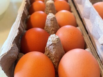 Queuing up the army of eggs, ready to be made into spunge cacke and Rafitee cacke. Photo by Bronwyn Smyth