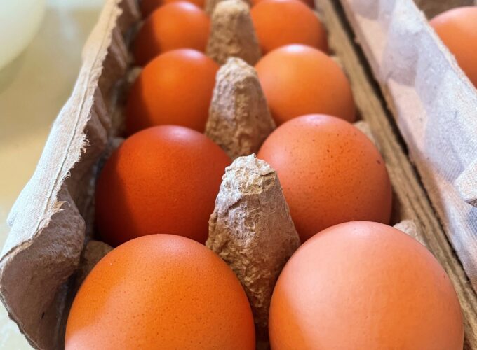 Queuing up the army of eggs, ready to be made into spunge cacke and Rafitee cacke. Photo by Bronwyn Smyth