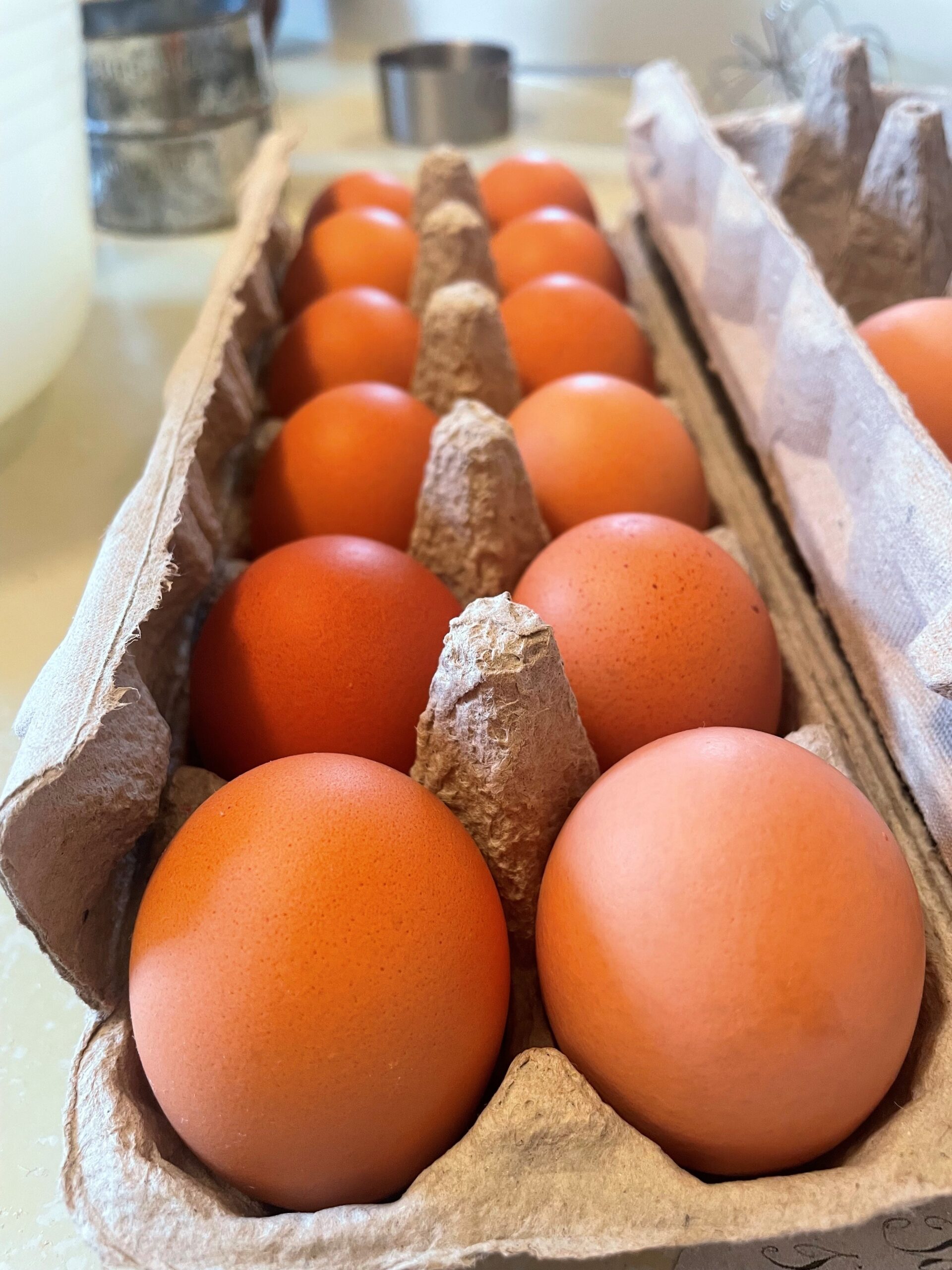 Queuing up the army of eggs, ready to be made into spunge cacke and Rafitee cacke. Photo by Bronwyn Smyth