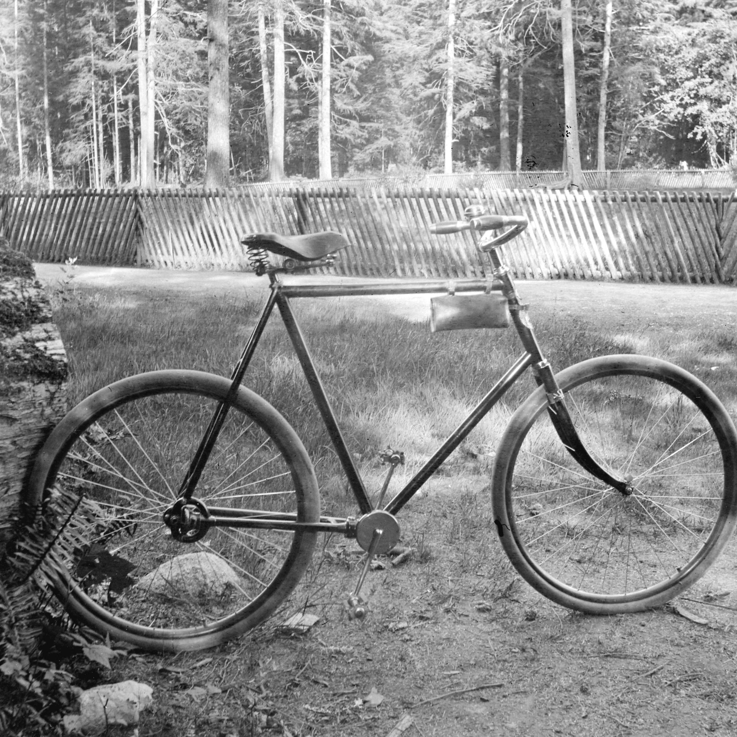 Chainless bicycle at old pond. Reference code: AM54-S4-: CVA 466-16