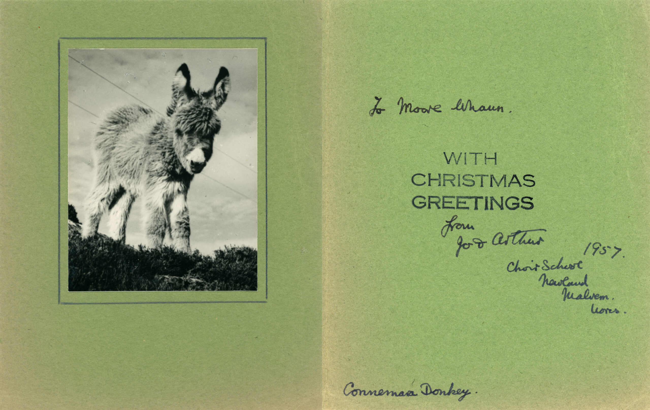 A “Connemara Donkey” on the front of a homemade Christmas Greetings card