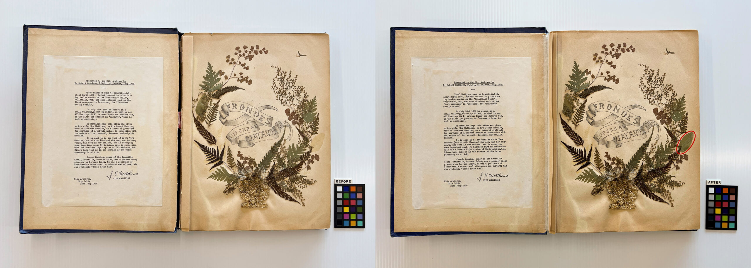 Before (left) and after (right) treatment of the cover page. Note the loose leaf (red circle on the right) that was retrieved from between the spine and the textblock and was re-adhered to its original location. Reference code: AM1444-: LEG4839.1-: LEG4839.1.03