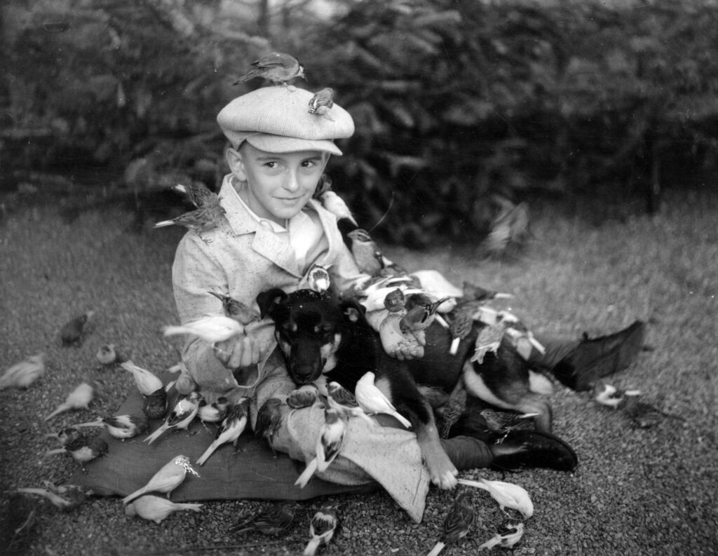 A boy and puppy at Charles E. Jones’ Birds’ Paradise. Reference Code: AM54-S4-2-: CVA 371-1203