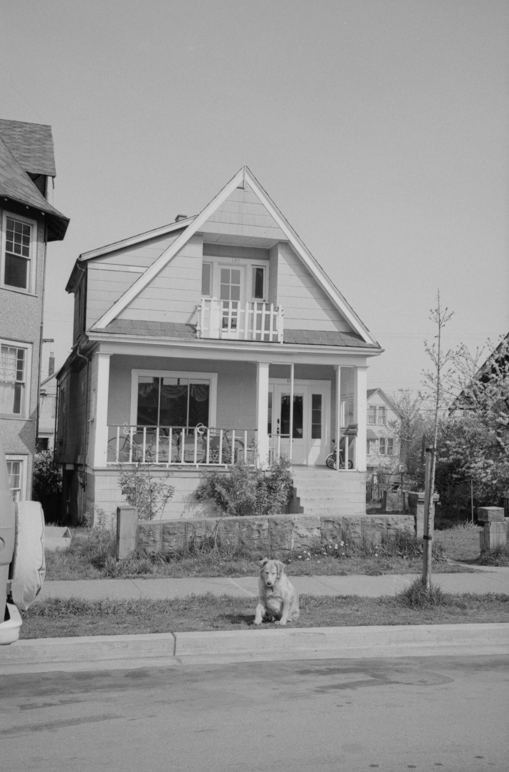 138-147 West 13th Avenue with furry canine friend out front. Reference code: COV-S644: CVA 1095-03055