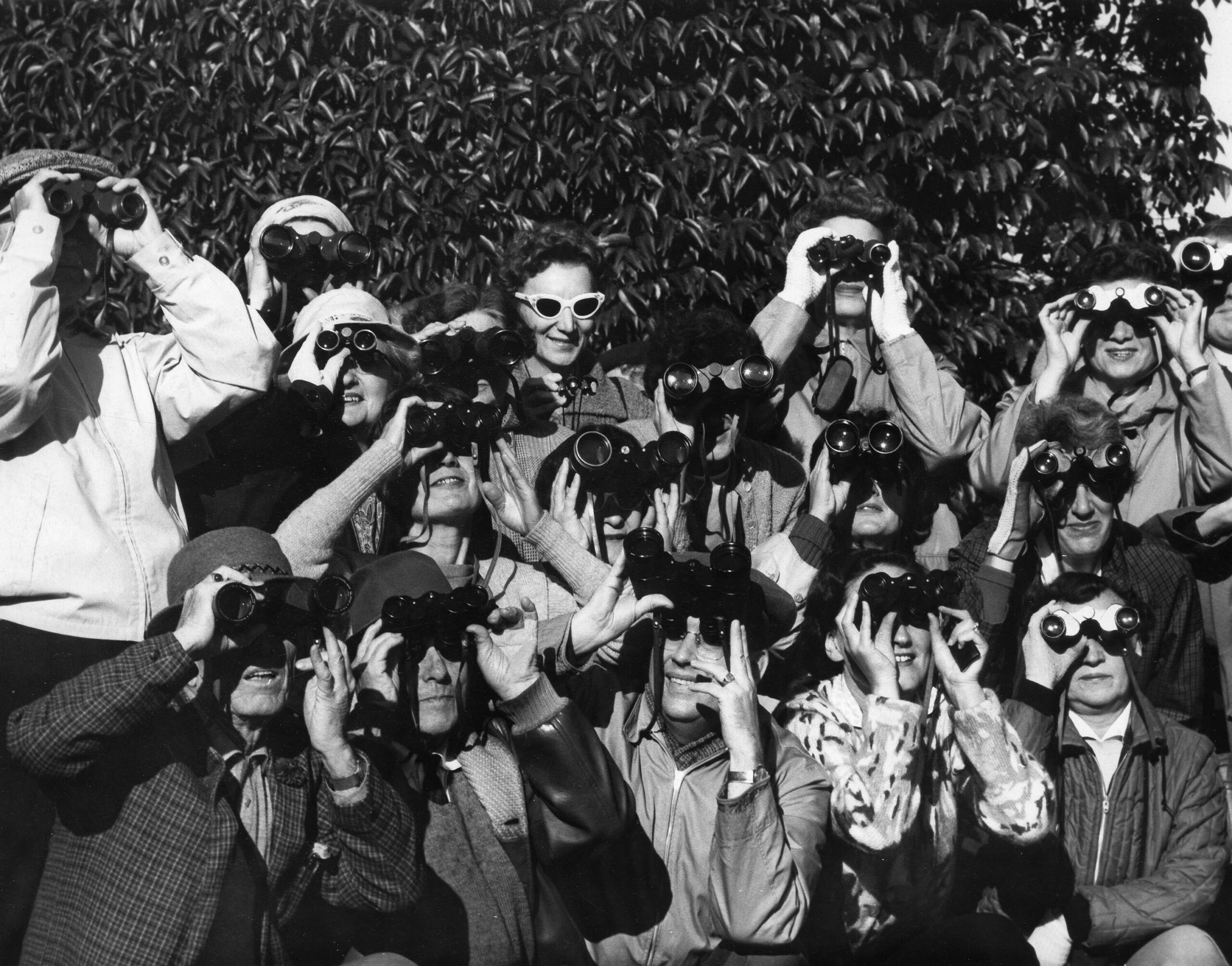 Group photo of birdwatchers, ca. 1965. Reference code: VPK-S625-: CVA 392-0472