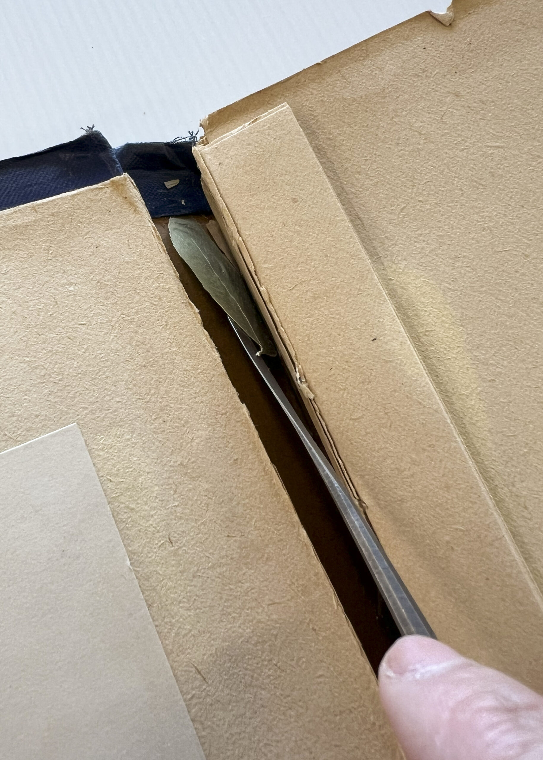 Loose leaf found between the spine and the textblock, surprisingly still perfectly intact.