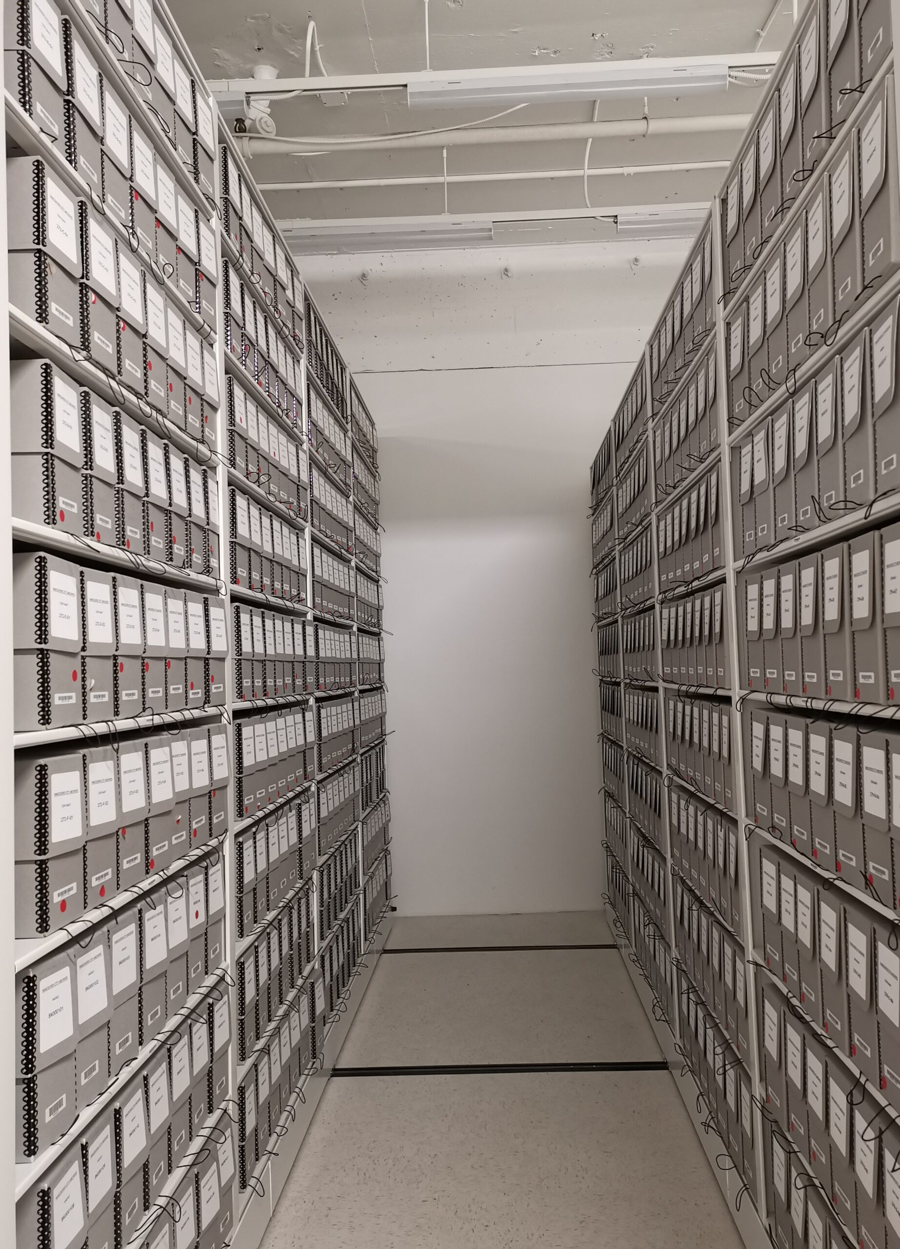 Bays of Hollinger boxes on mobile shelving