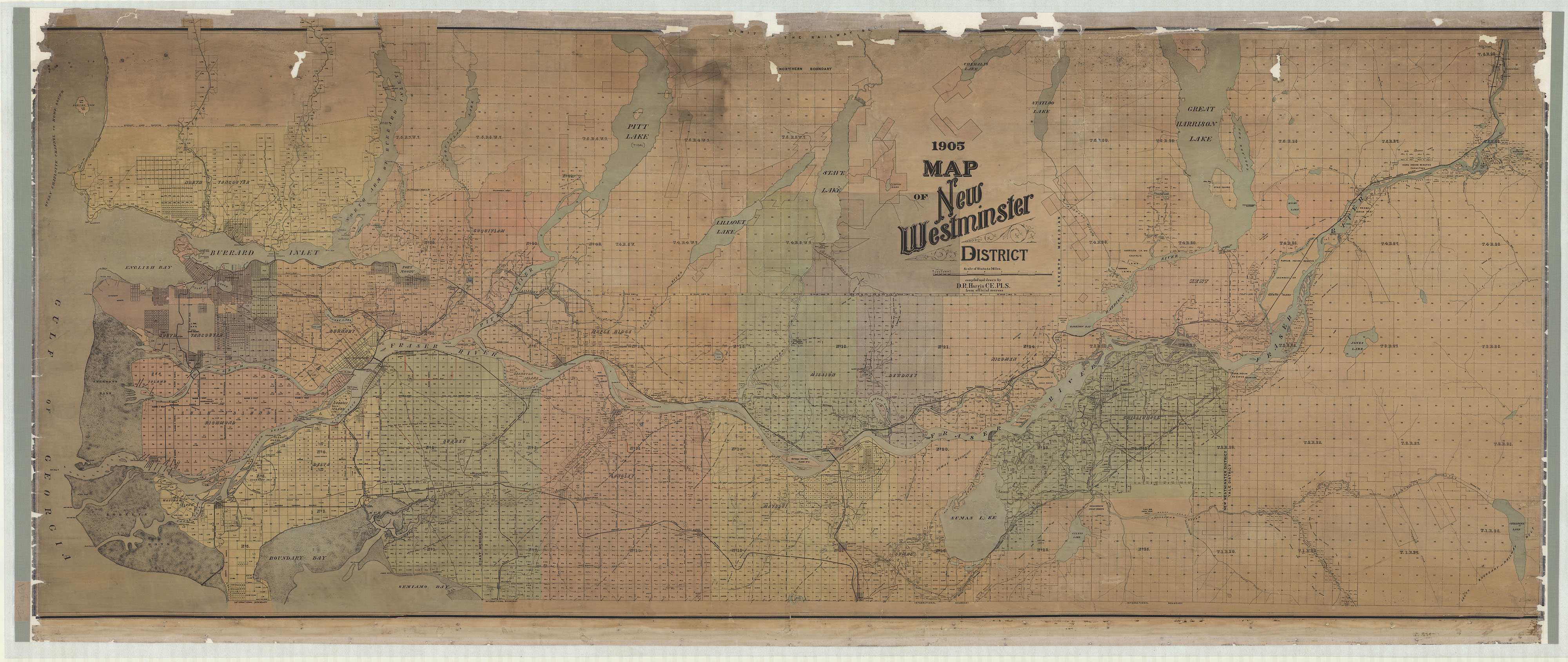 Image of the entire conserved map