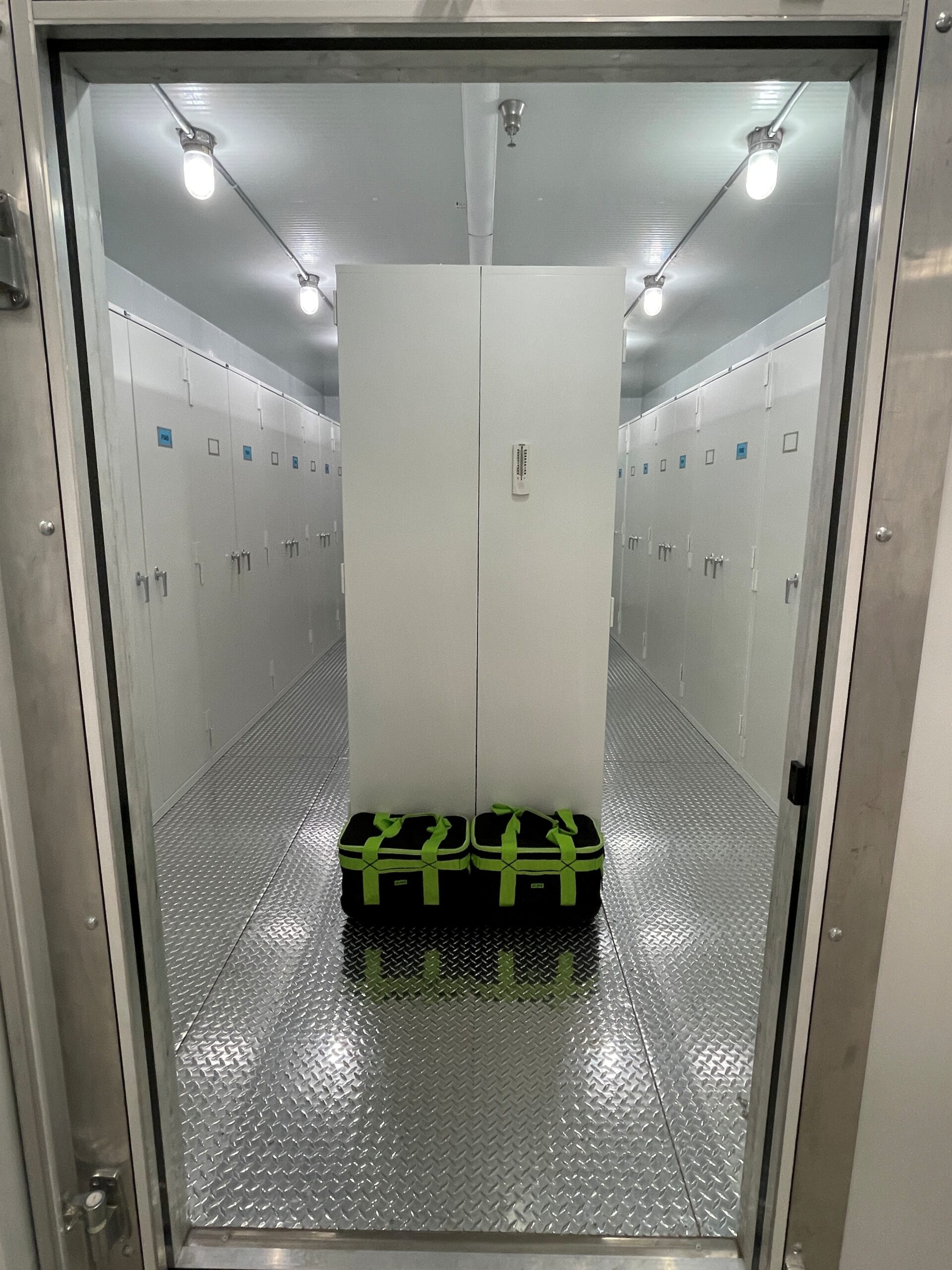 Inside of frozen storage vault