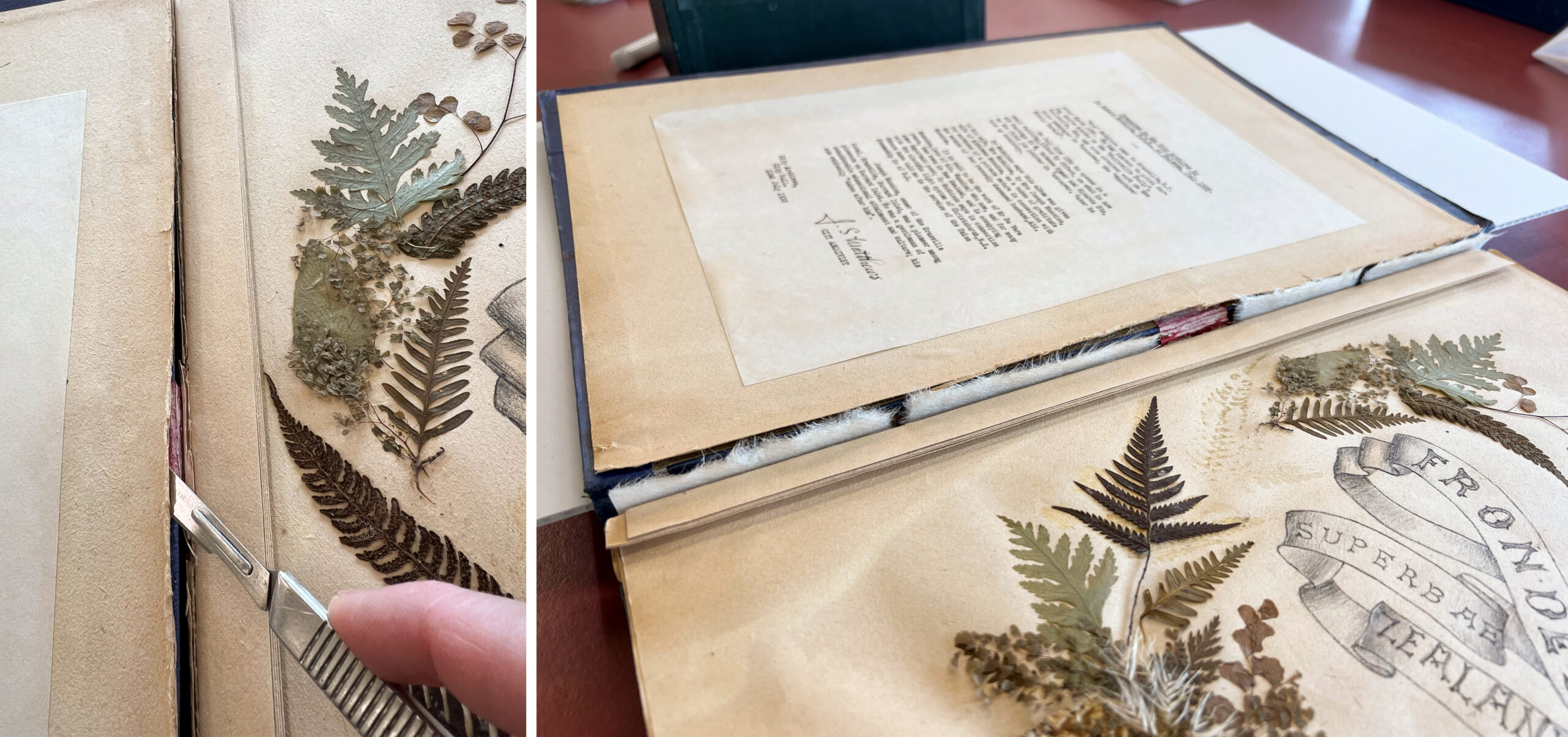 Careful delamination of the front pastedown with a scalpel (left) to make room on the front board for the Japanese tissue tabs (right) on the other half of the split sheet to adhere to.