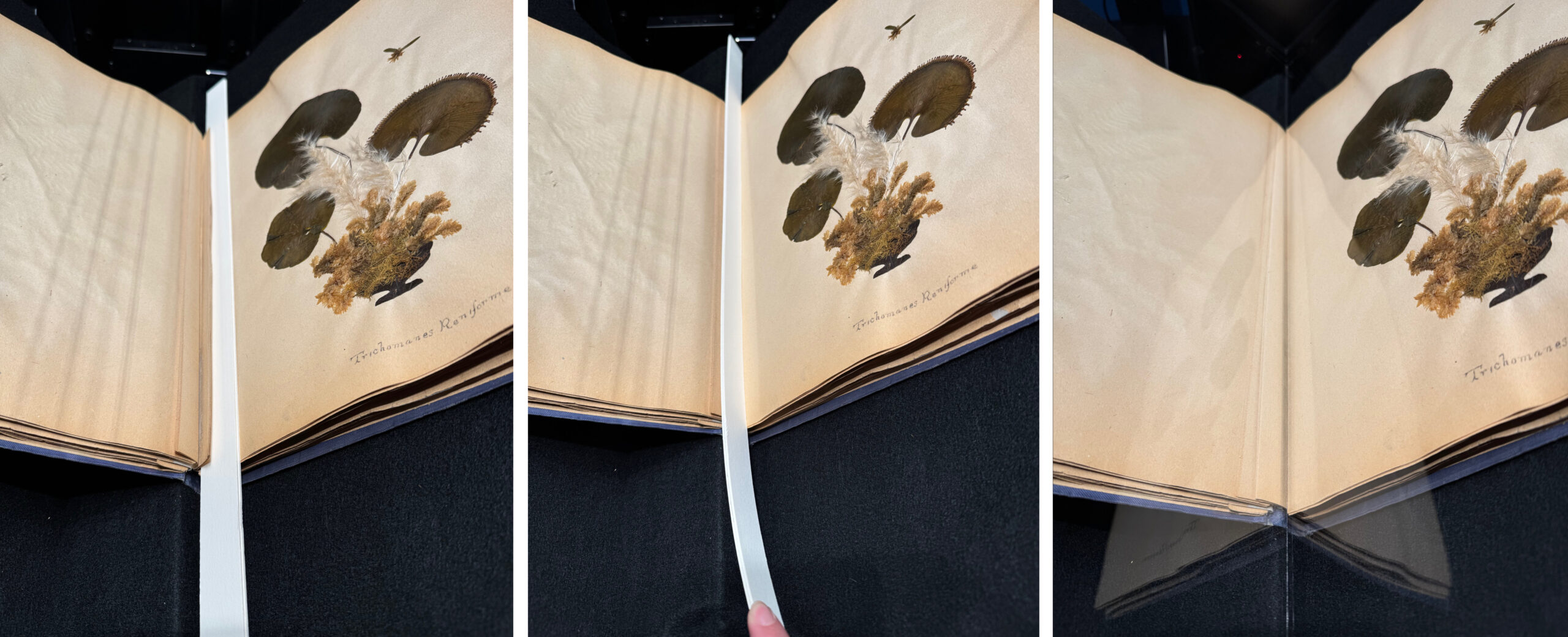 Image showing the process of keeping the v-hinge from being captured in the photograph.